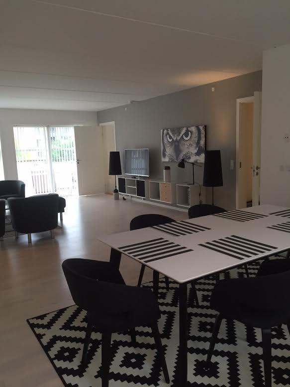 Appartement Lux With 2 Full Bathrooms 2tv Copenhague
